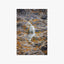 Meandering Rob Roy Waterfall Print