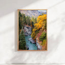 Shotover River Print