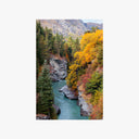 Shotover River Print