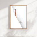 Scribbly Gum Tree Print