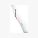 Scribbly Gum Tree Print