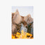 Twin Pinnacles Clay Cliffs Print