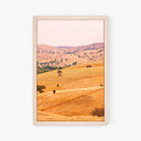 Golden Hills of Gundagai Print