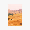 Golden Hills of Gundagai Print