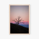 Sunset Silhouettes Print