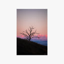 Sunset Silhouettes Print