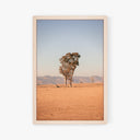 Sunburnt Stillness Print