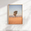 Sunburnt Stillness Print